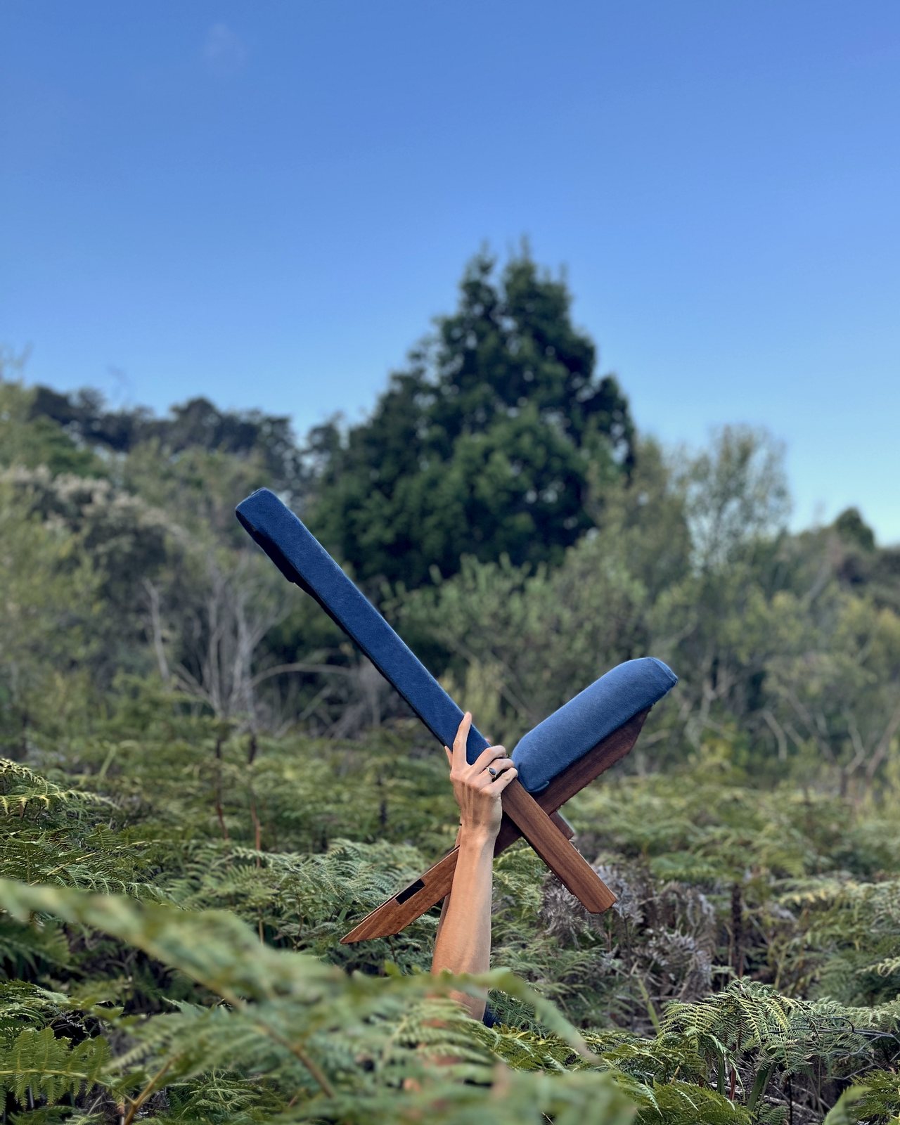 Kiaat wood folding chair with navy canvas seat, held above the ferns